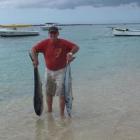 Wahoo ou Bécune et Dorade