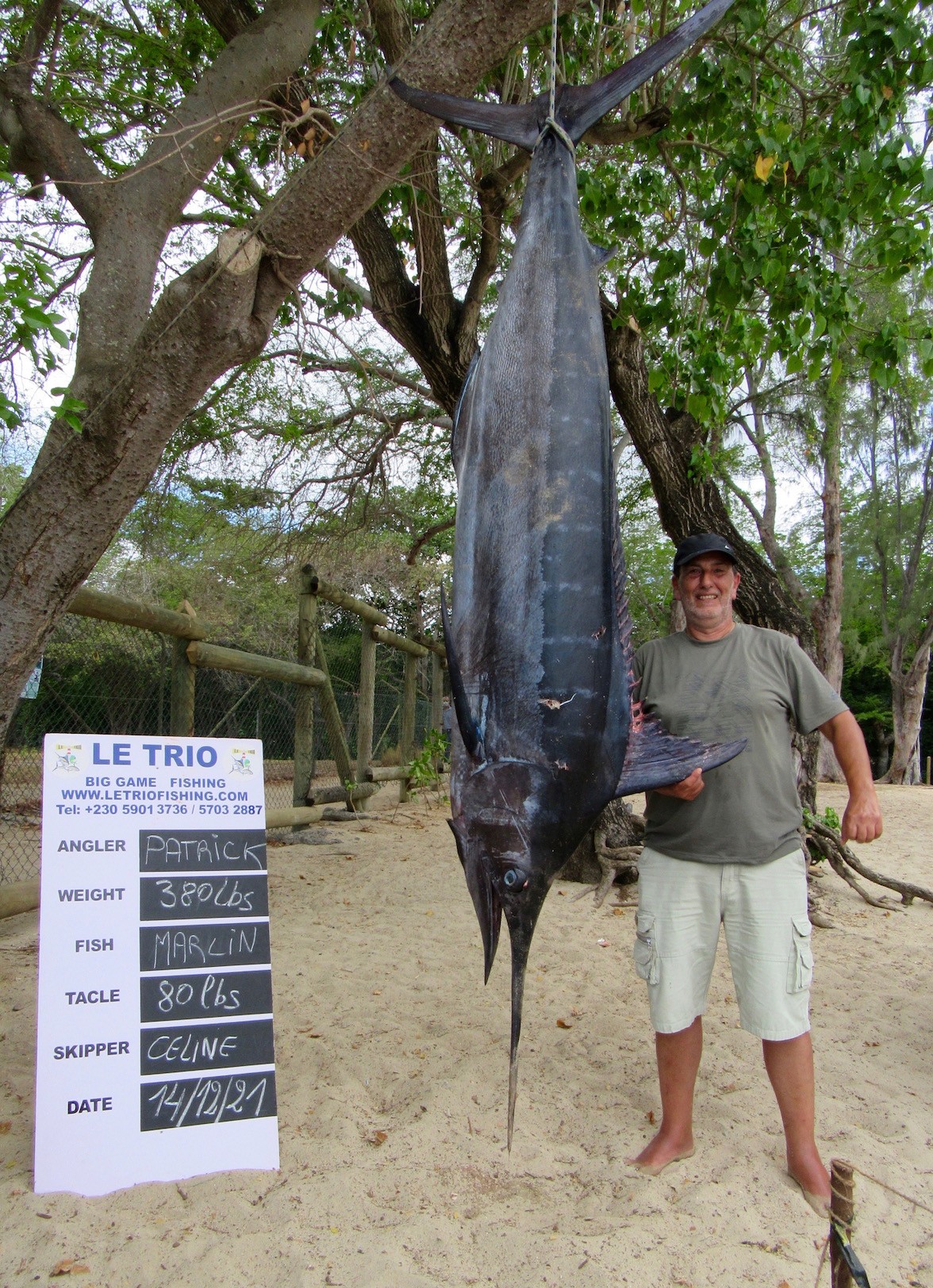 Dec 21 Blue marlin 380 lbs