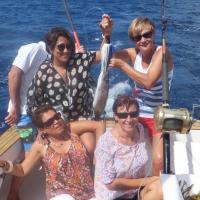 Barracuda dit Thazard local