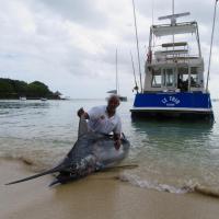 Blue Marlin de 570 livres