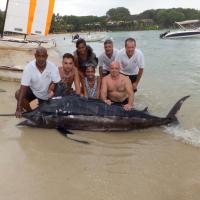 Marlin Rayé 375 lb