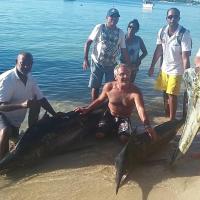 Un doublé de blues marlins de 398 livres et 150 livres + 1 mâle dorade !