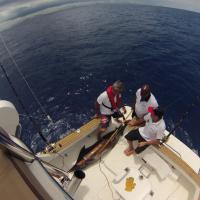 Marlin 167 lb