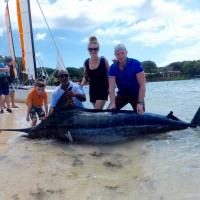 Marlin de 515 lbs